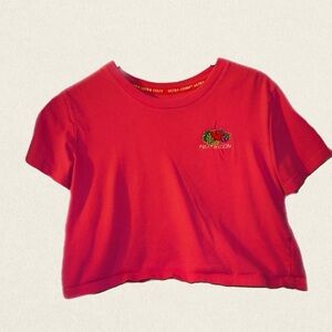 Y2K pink fruit of the loom crop top 💕